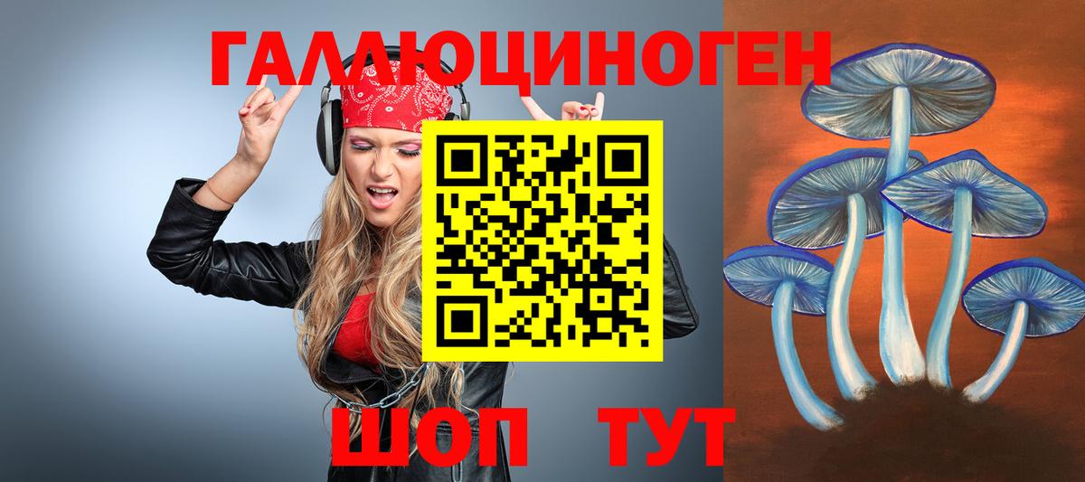 магазин продажи   Галлюциногенные грибы Cubensis  Кингисепп  Вход с VPN  Галлюциногенные грибы ЛСД 