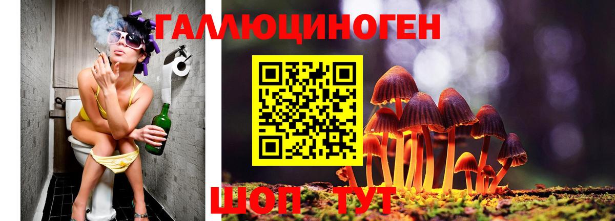 Псилоцибиновые грибы ЛСД Кингисепп